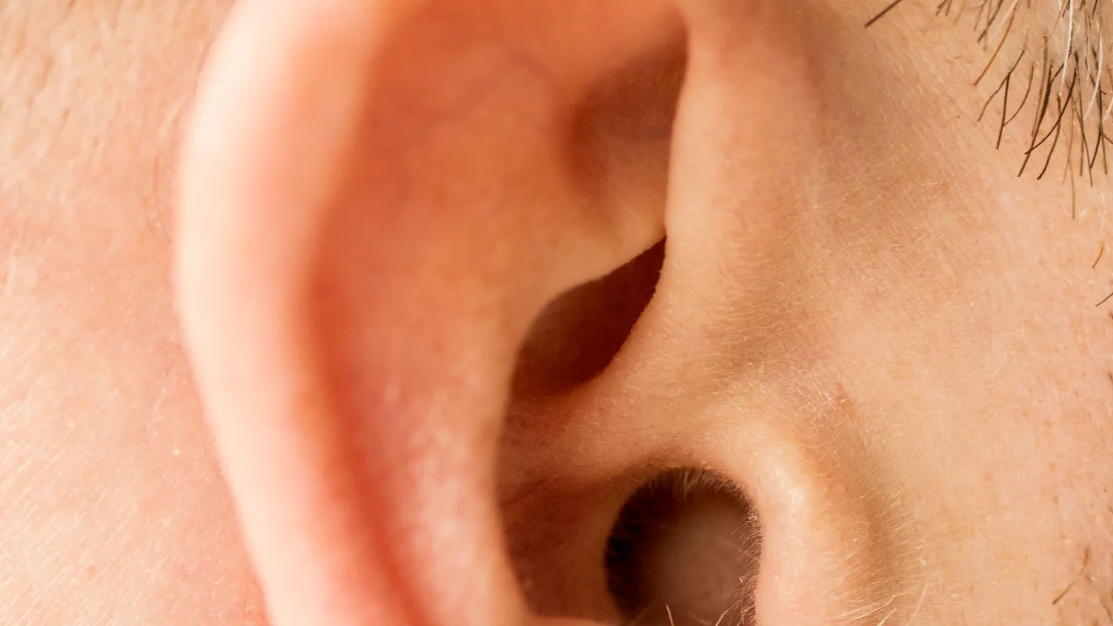 Mão segurando um aparelho auditivo retroauricular (BTE) ao lado de um intra-auricular (ITE) sobre uma mesa, com fundo neutro.