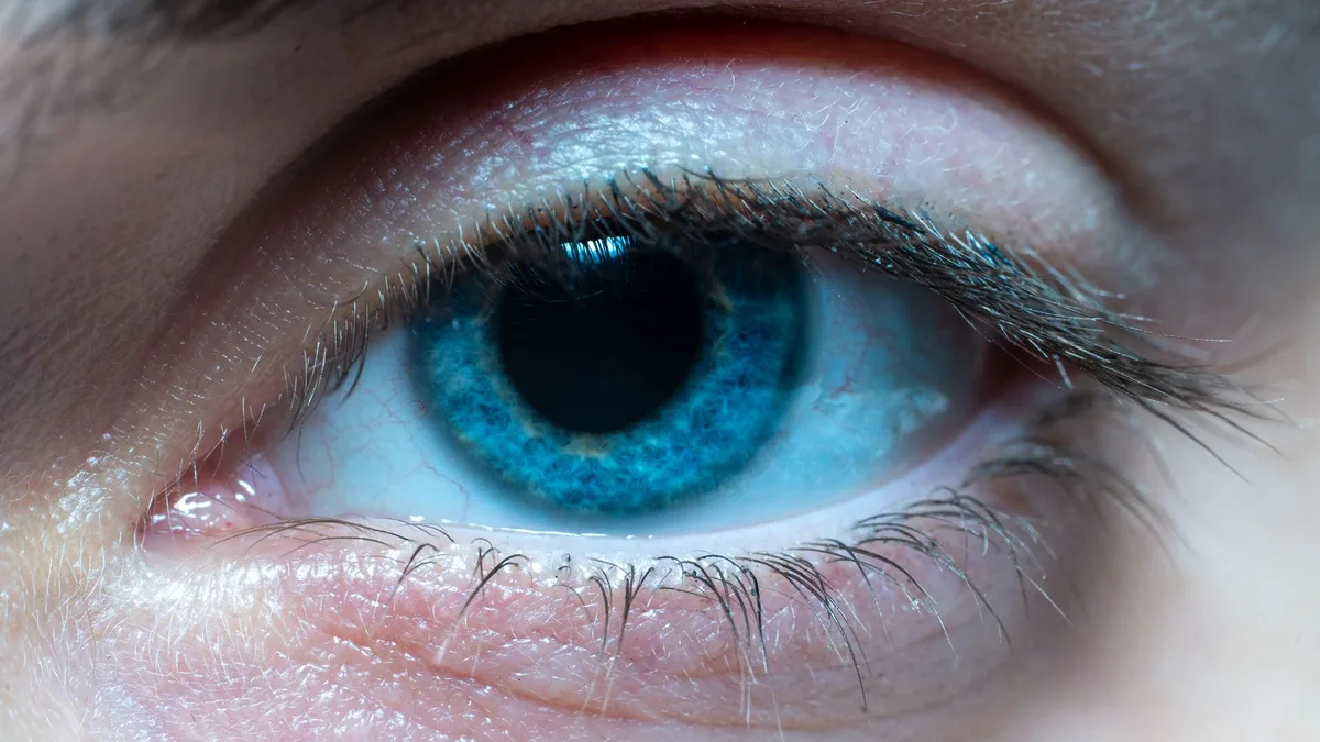 Tipos de lentes de contato coloridas enhancement e opacas