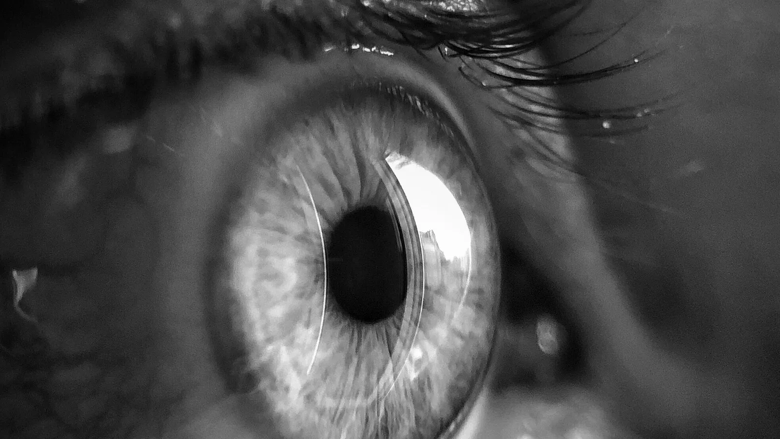 Close-up do olho humano em preto e branco mostrando detalhes da íris